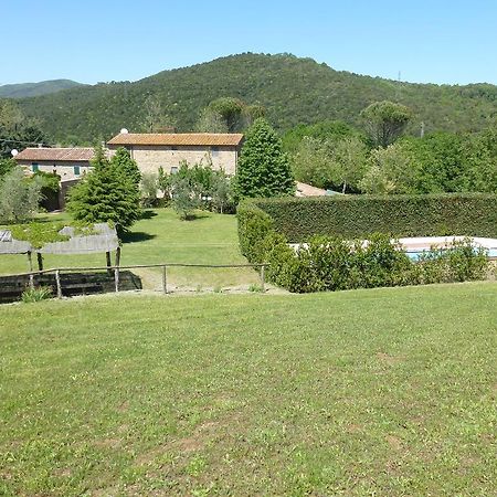 Agriturismo Le Colline Montescudaio Δωμάτιο φωτογραφία