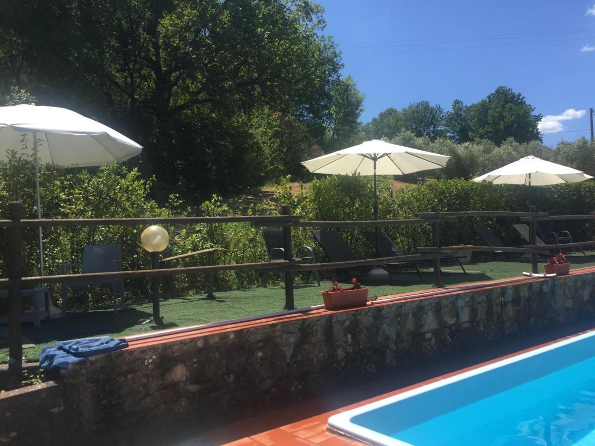 Agriturismo Le Colline Montescudaio Εξωτερικό φωτογραφία