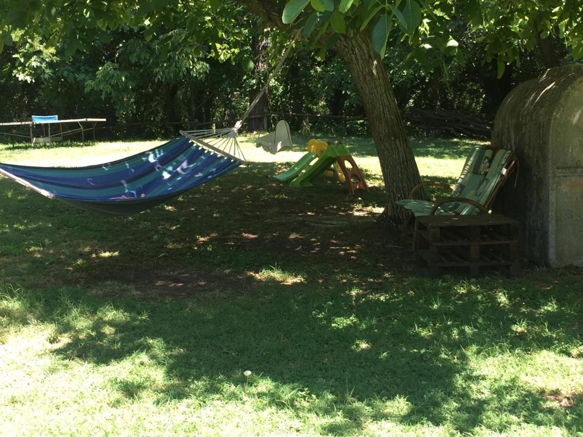 Agriturismo Le Colline Montescudaio Εξωτερικό φωτογραφία