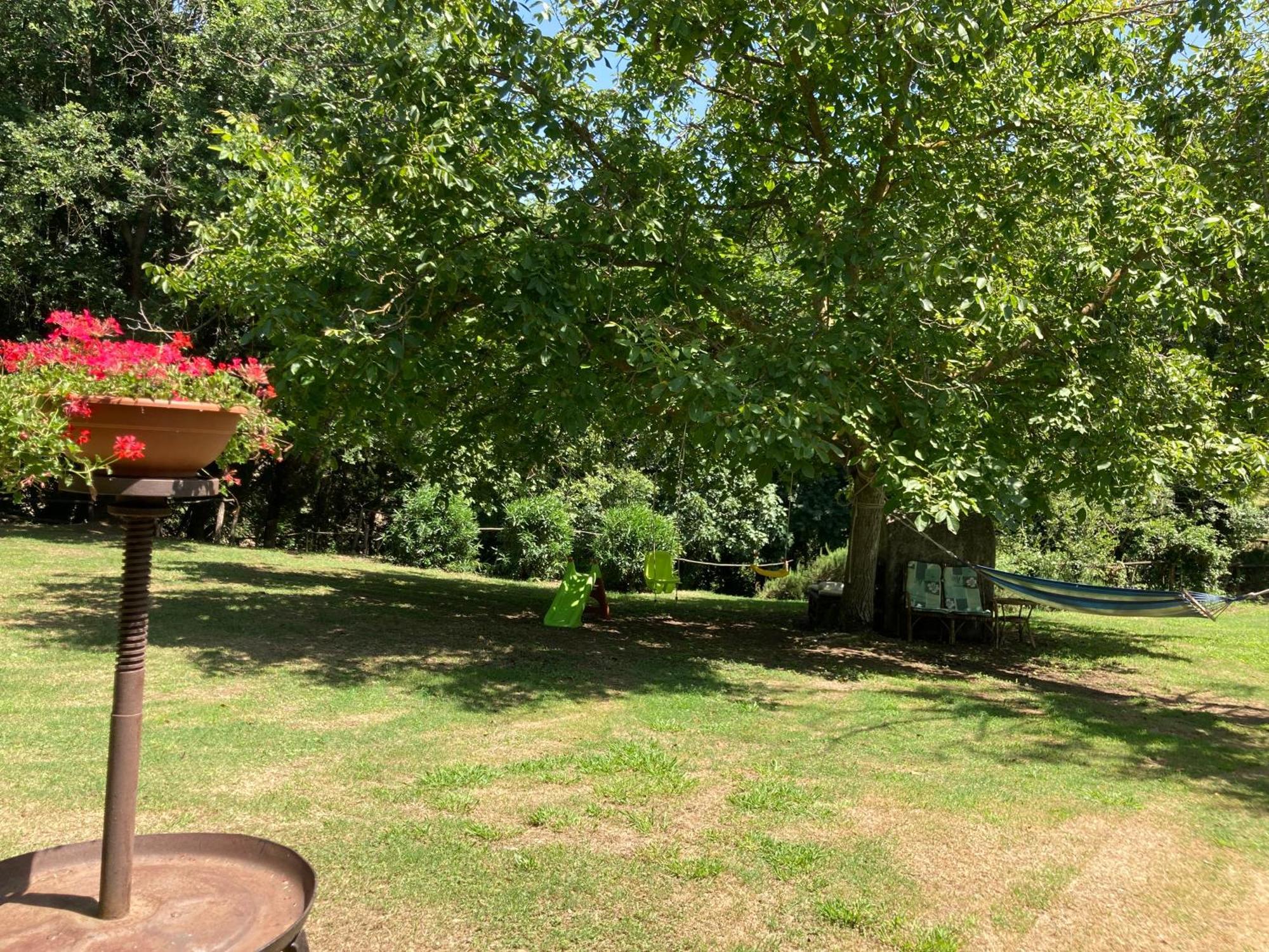 Agriturismo Le Colline Montescudaio Εξωτερικό φωτογραφία