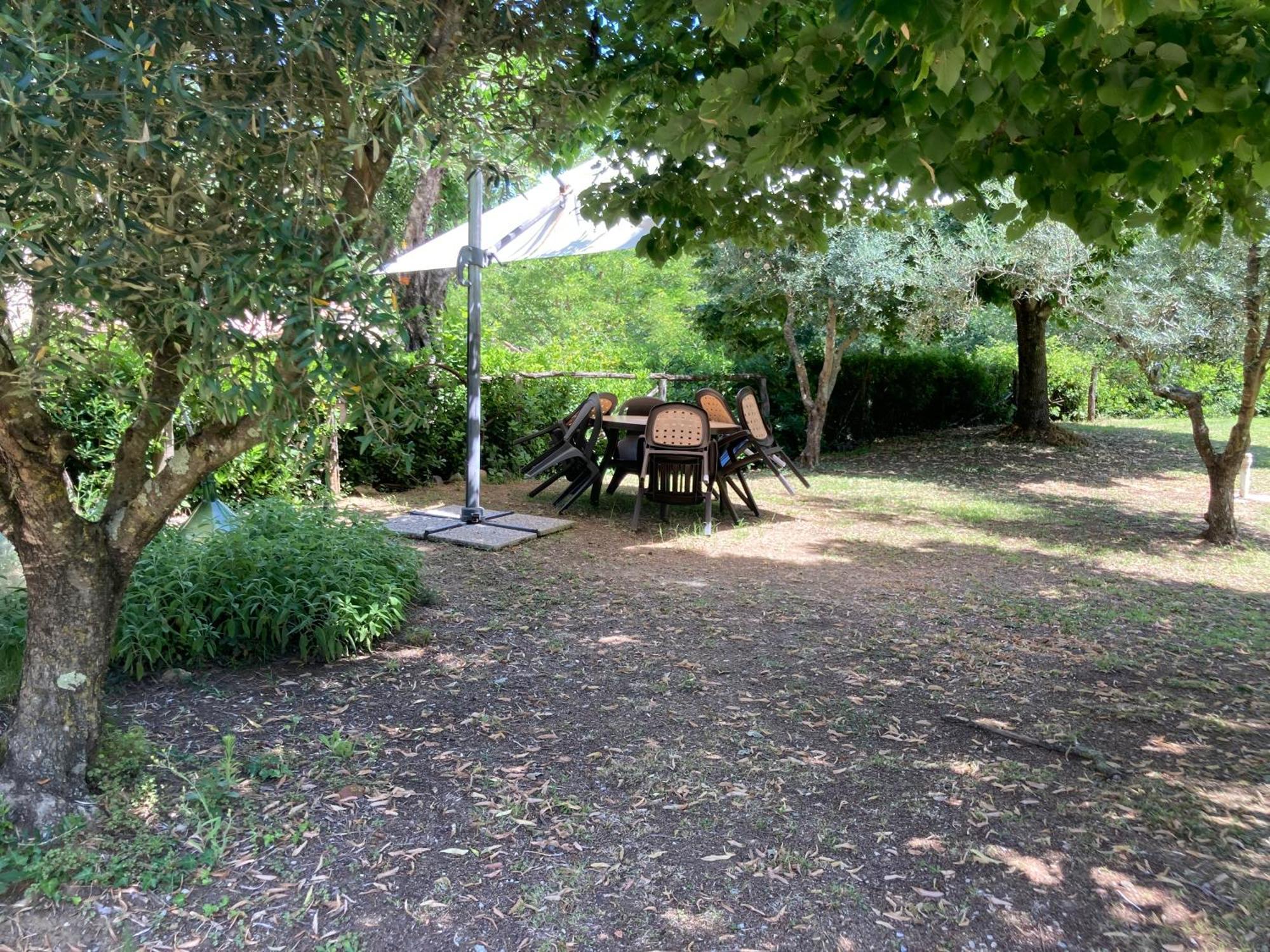 Agriturismo Le Colline Montescudaio Εξωτερικό φωτογραφία