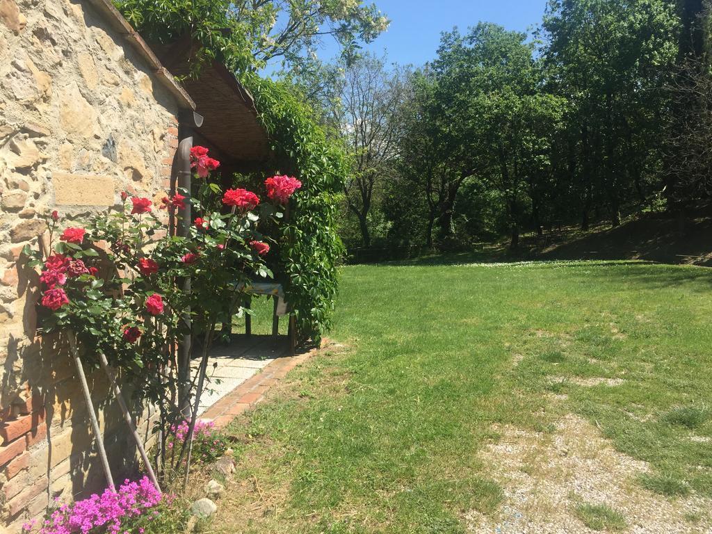 Agriturismo Le Colline Montescudaio Εξωτερικό φωτογραφία
