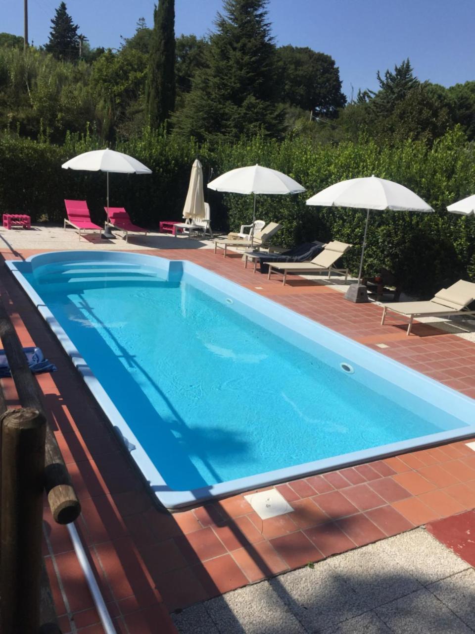 Agriturismo Le Colline Montescudaio Εξωτερικό φωτογραφία